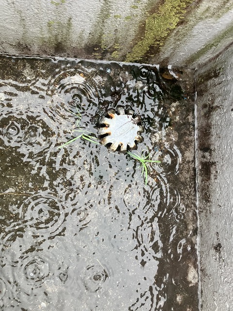 原因はドレインの詰まり